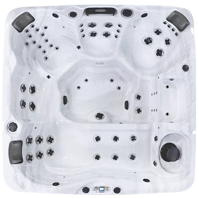 Avalon EC-867L hot tubs for sale in British Columbia